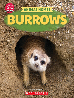 cover image of Burrows